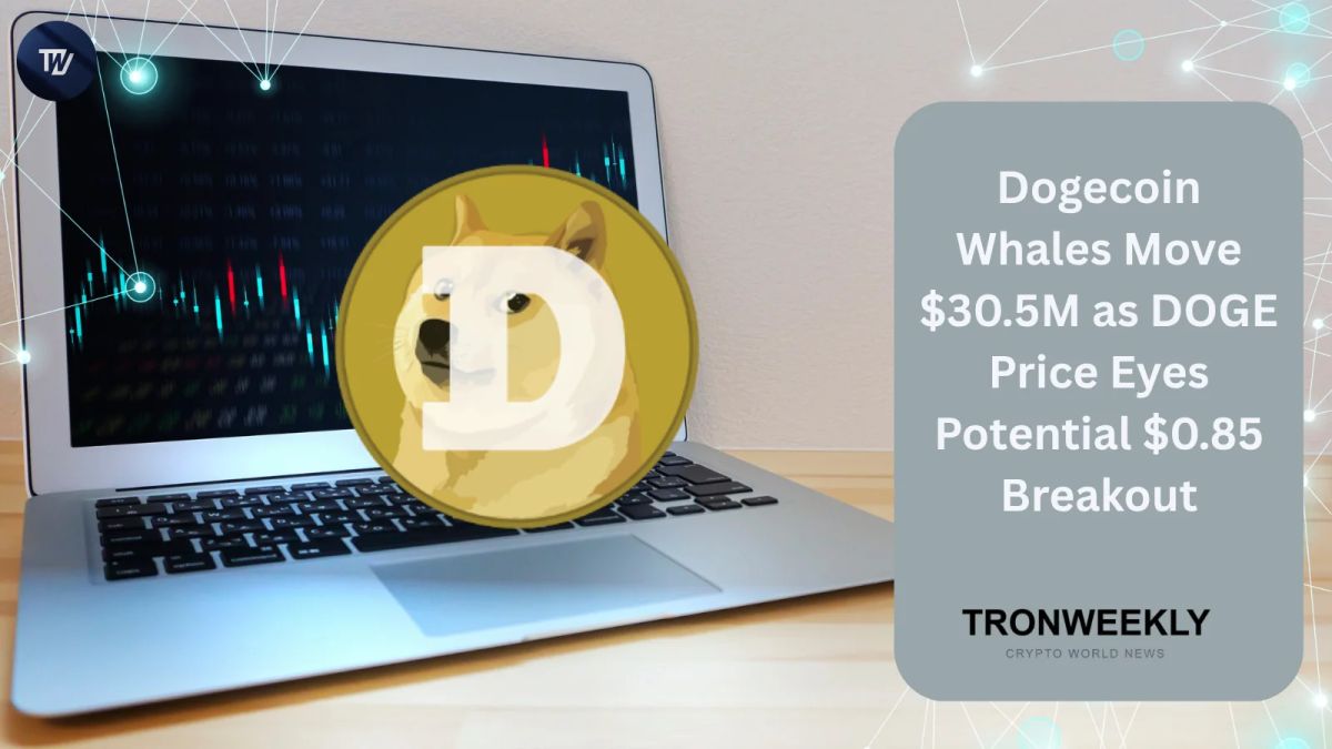 Dogecoin Whales Move $30.5M as DOGE Price Eyes Potential $0.85 Breakout