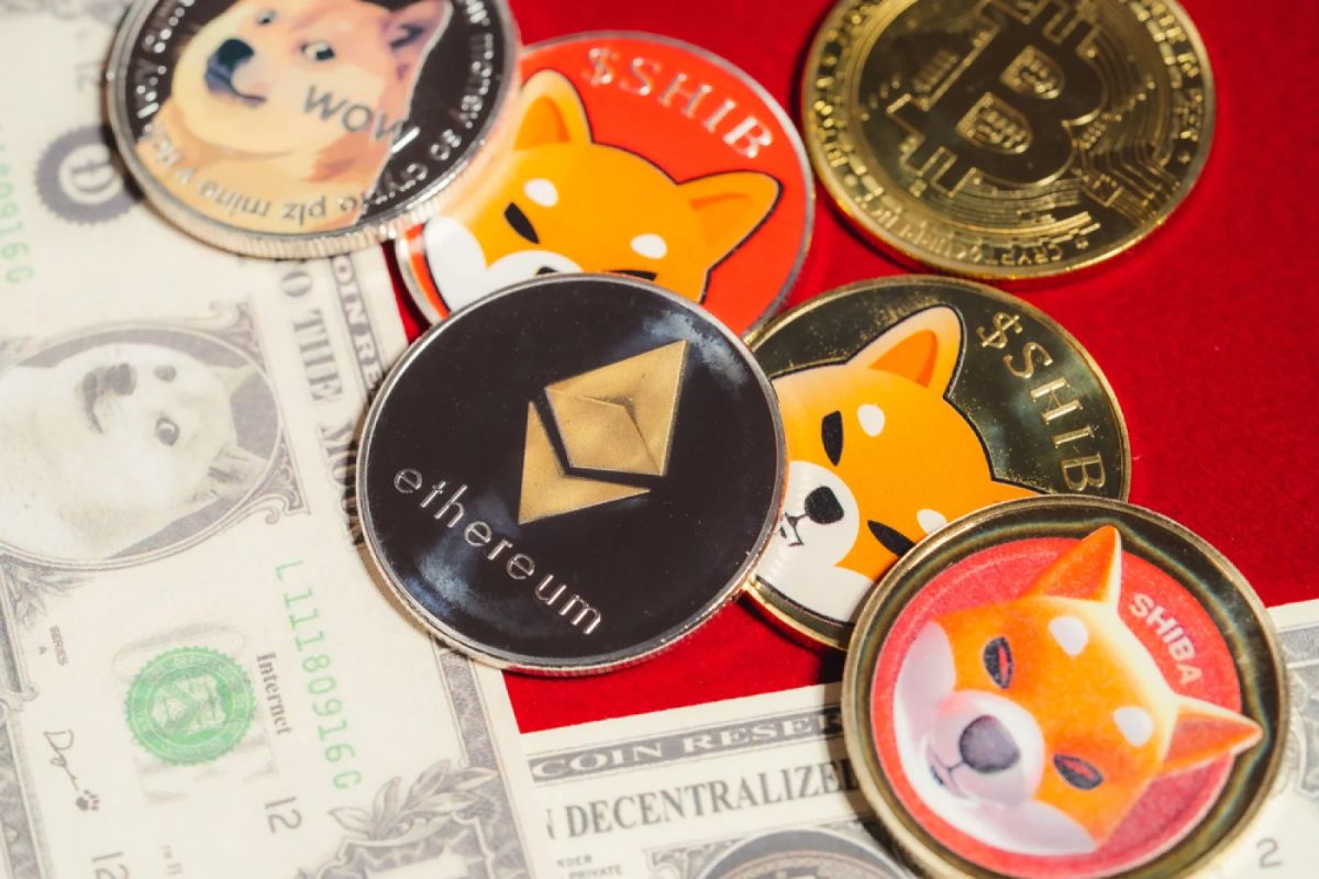 Shiba Inu Holder Count Drops by 2,500 Amid Prolonged Volatility