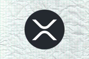 Evernorth CEO Makes It Clear In An Interview With Yellow On XRP