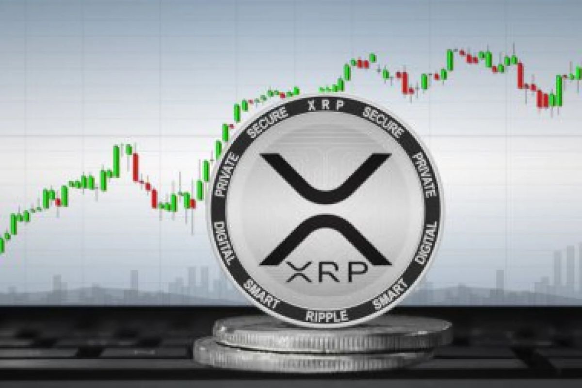 XRP Whale Holdings Hit Highest Supply Share Since November 2022