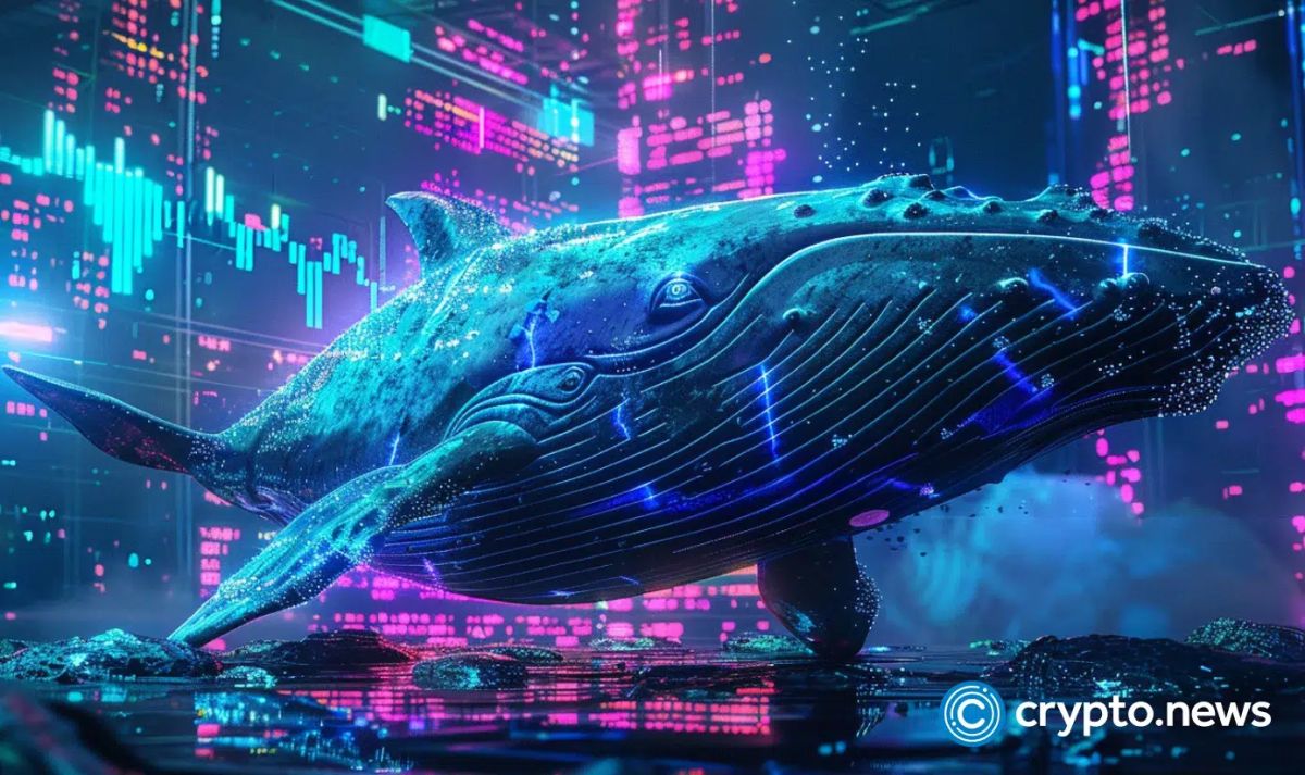 Bitcoin whales turn net short on Hyperliquid for first time since March