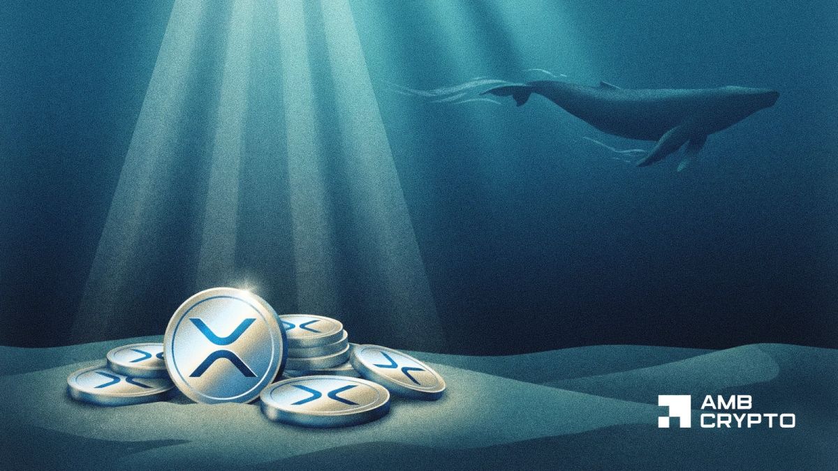 XRP ETFs bring in $4.26M – Yet THIS whale signal raises questions