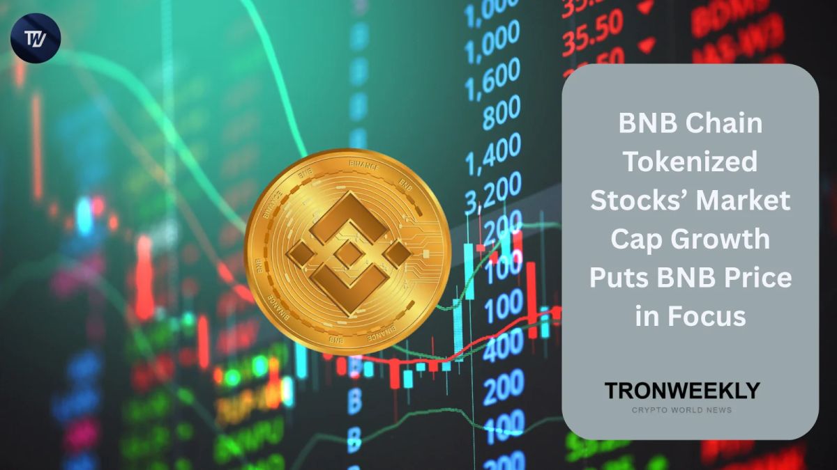 BNB Chain Tokenized Stocks’ Market Cap Growth Puts BNB Price in Focus