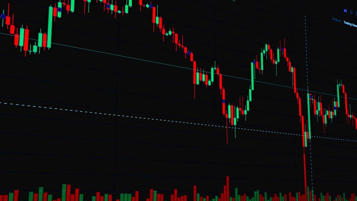 Tokenization Insights from DTCC and Stellar Leadership