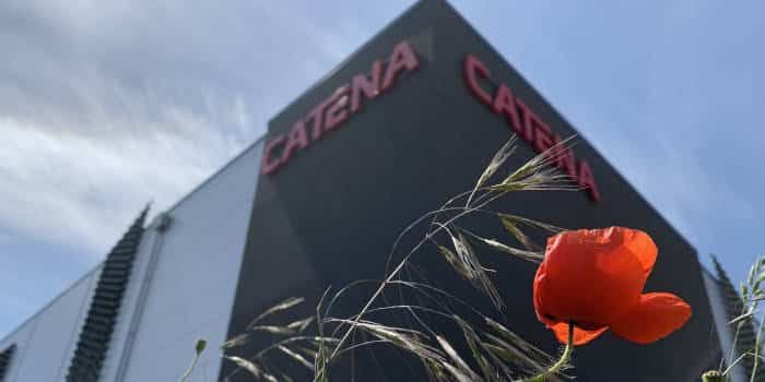 Catena Media Diversifies Portfolio with Investment in Collectbase and “Rips”