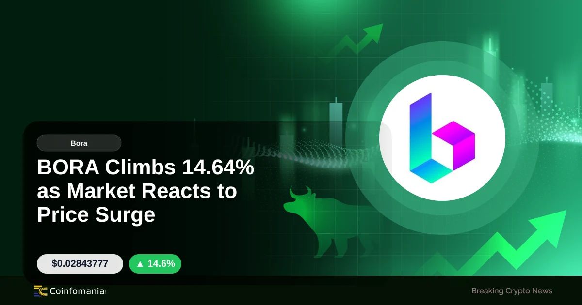 BORA Climbs 14.64% as Market Reacts to Price Surge