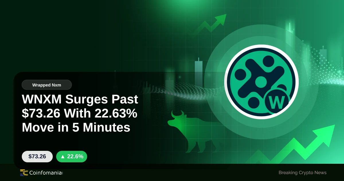 WNXM Surges Past $73.26 With 22.63% Move in 5 Minutes