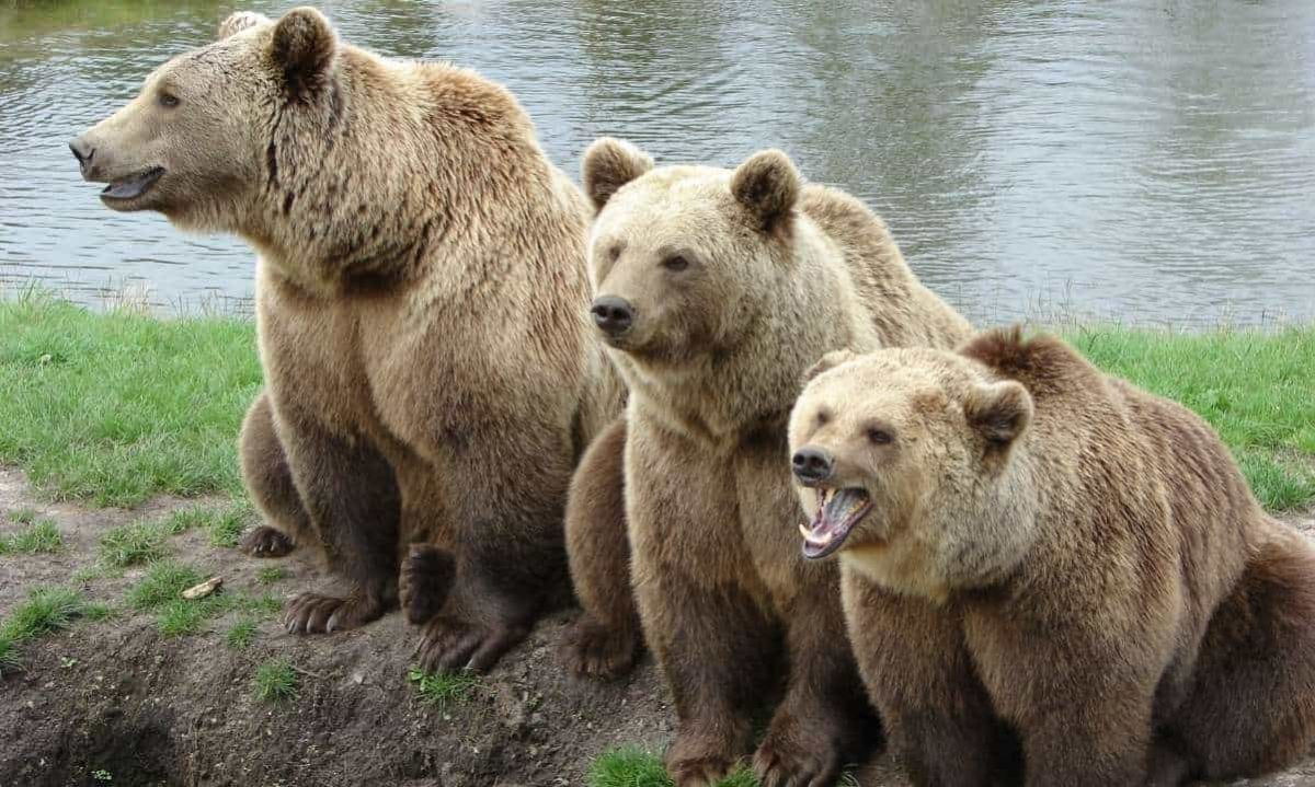 These 3 Crypto Stocks Now Sit on Tech’s ‘Stealth’ Bear Market List