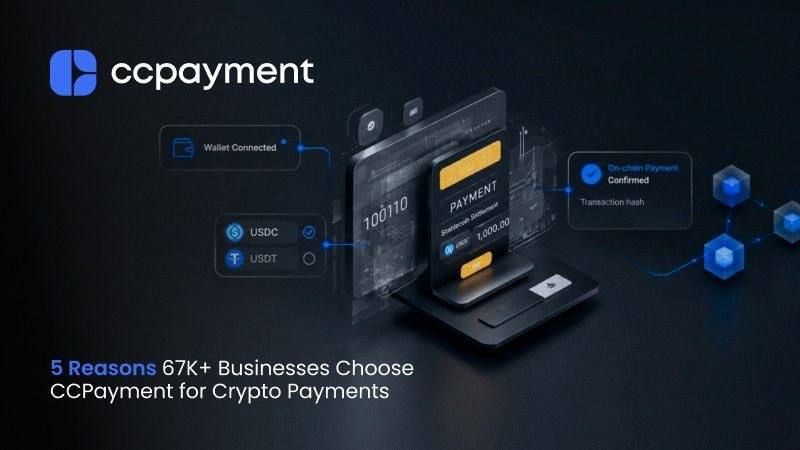 5 Reasons 67K+ Businesses Choose CCPayment for Crypto Payments
