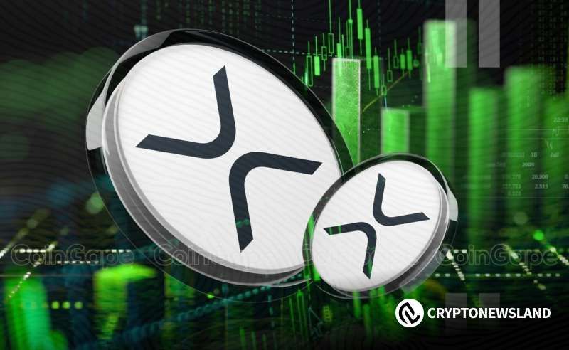XRP Wallet Count Climbs to 8.24 Million