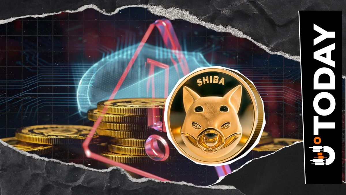 0.05% of SHIB Supply Faces Uncertain Fate: Shiba Inu Veteran Issues Warning to Community