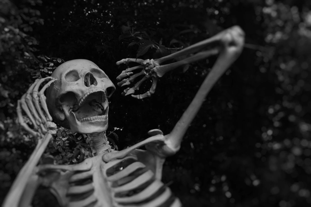 Top 6 memecoins to check out in October 2026