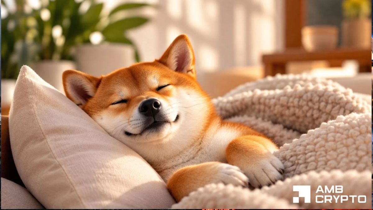 Shiba Inu burns 1.42M tokens as sellers tighten their grip – Can SHIB recover?