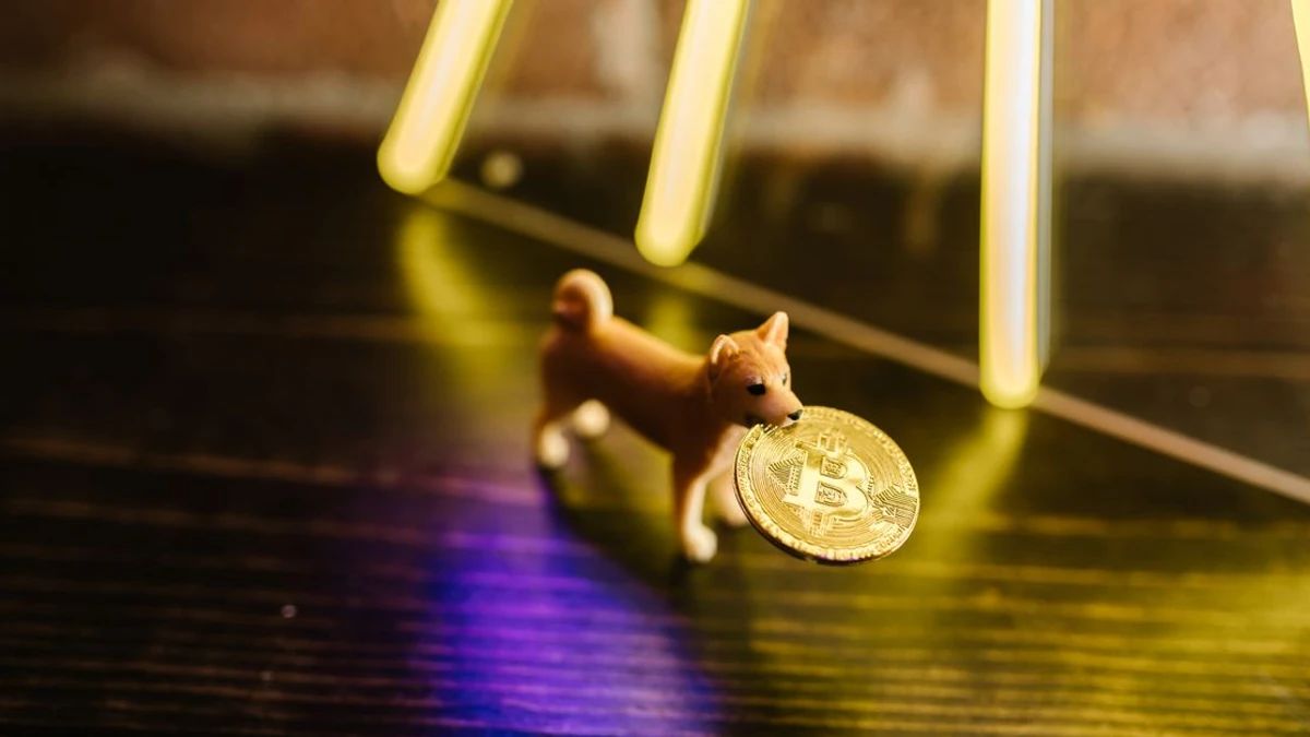 Bitcoin’s Governance Issues Could Hinder Quantum Migration