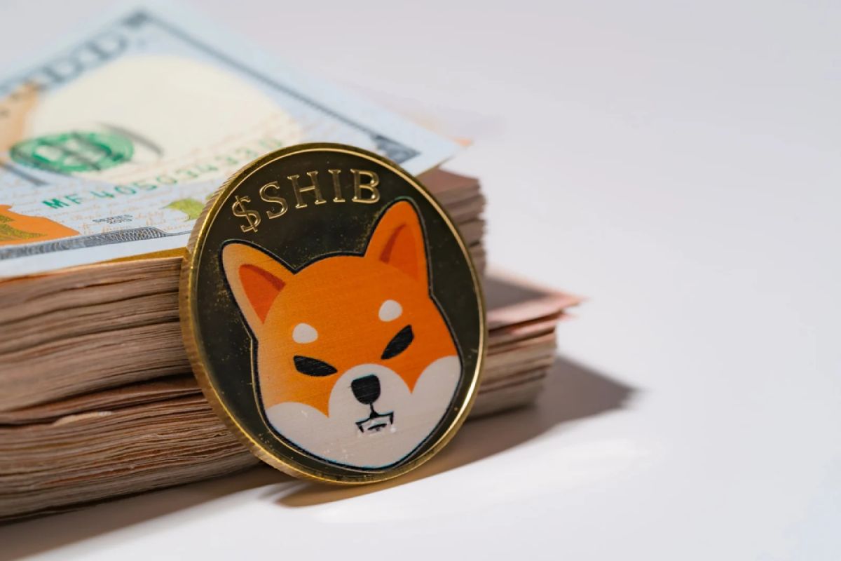 Shiba Inu (SHIB) Loses Most Importnat Support For Now