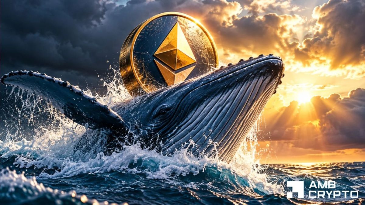 Ethereum whales withdraw $29M despite bearish signals – Will ETH recover?