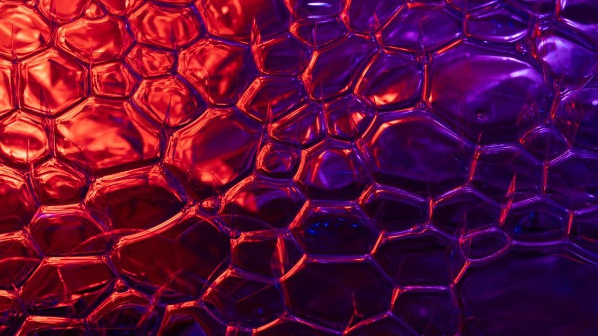CryptoQuant Unveils MCP Server, Enabling Quick On-Chain