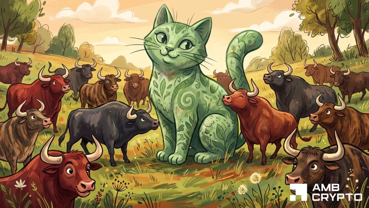 Here’s why CashCat’s 11% rally puts Hyperliquid, Gate and Bybit in focus