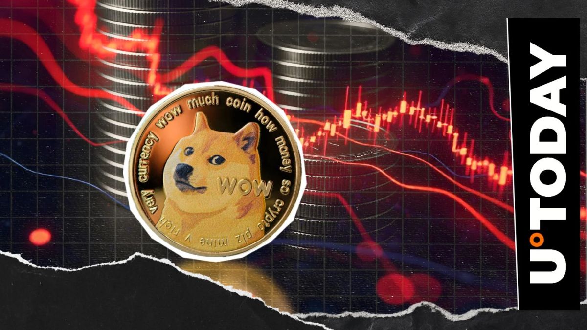 17,833,333 DOGE Longs Liquidated in Market Selloff: What's Ahead?