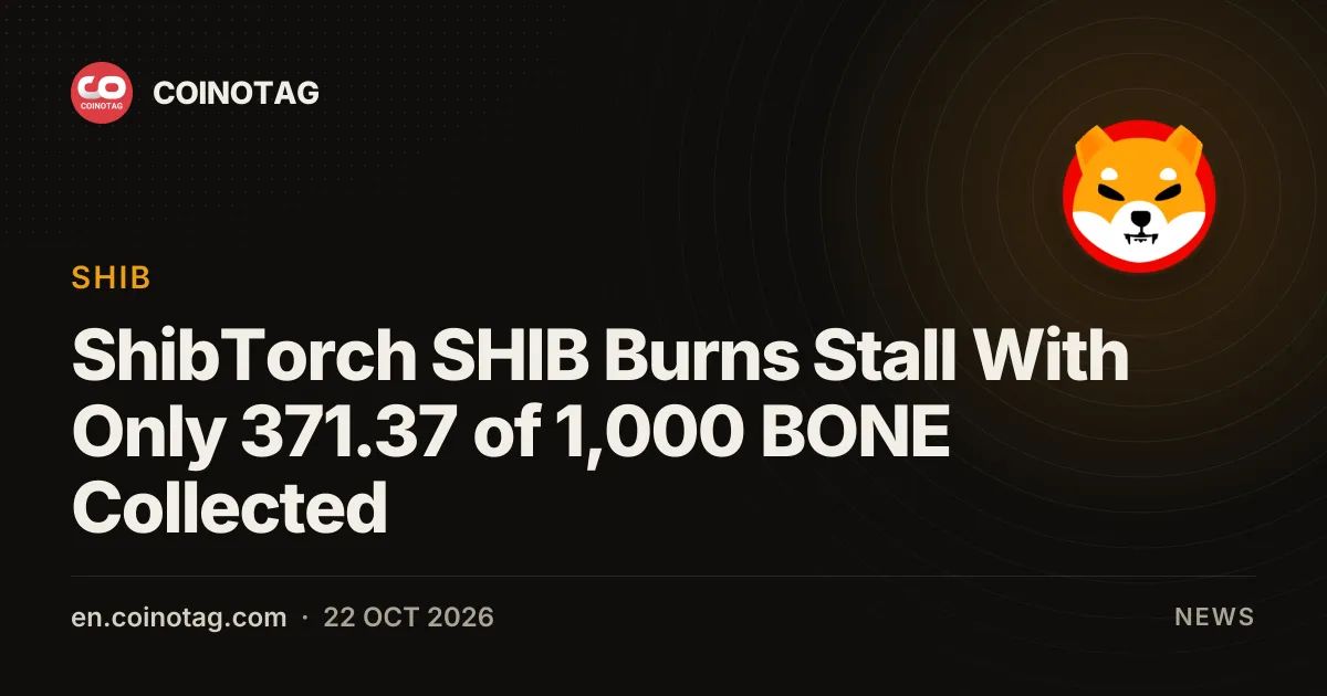 ShibTorch SHIB Burns Stall With Only 371.37 of 1,000 BONE Collected