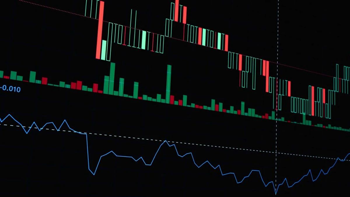 Stablecoins Gain Traction as Coinbase Voices Optimism
