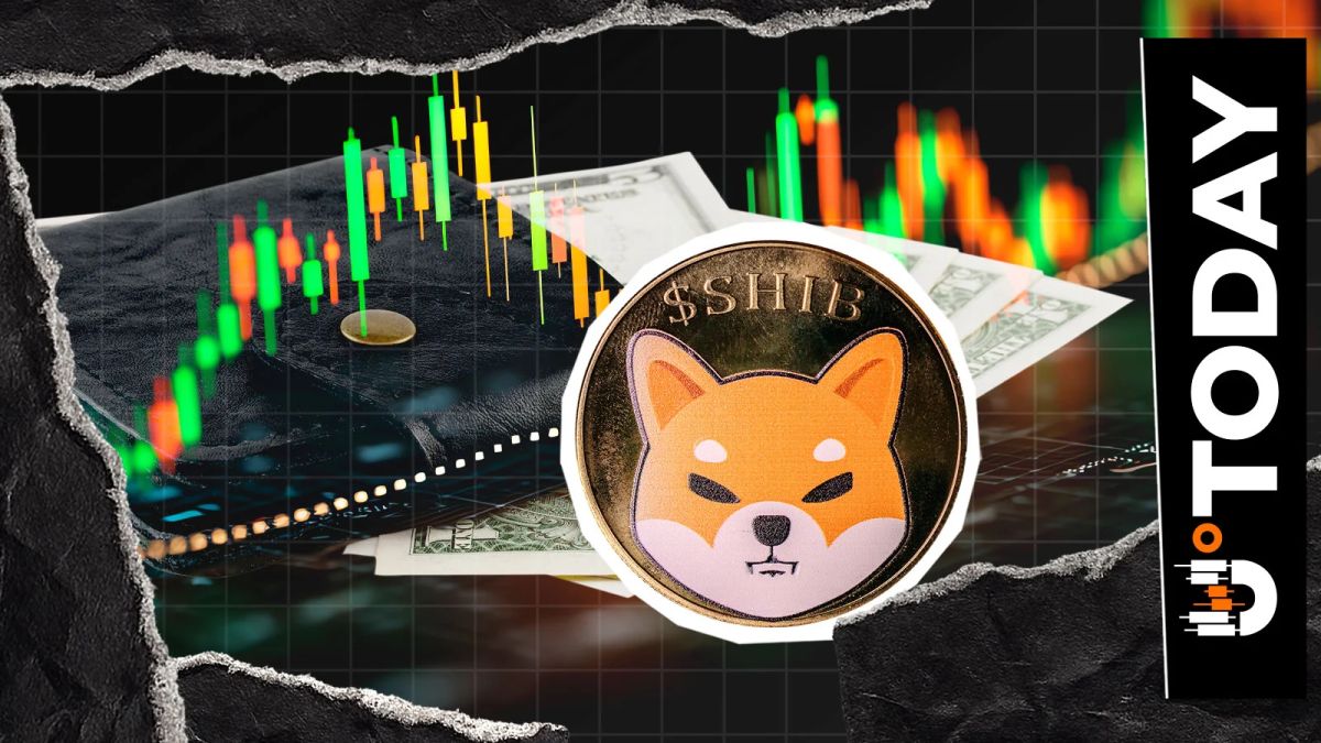 +147,593 SHIB Growth in 2026: What's Behind It?