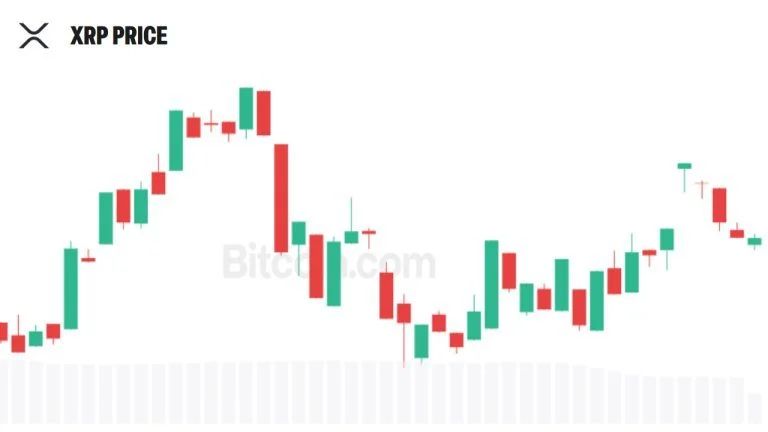 Evernorth Seeks to Register 5.2M Shares as It Plans More XRP Purchases