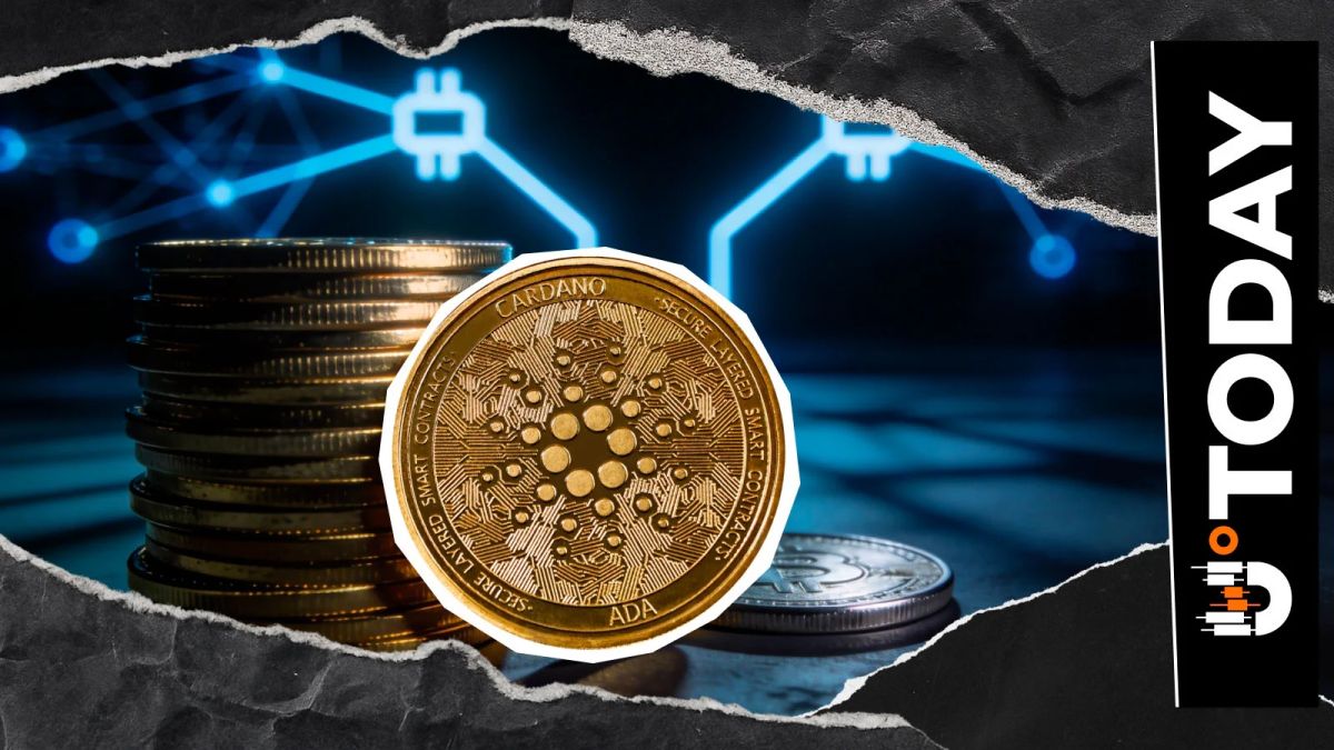 Cardano's Next Major Upgrade Begins Testing as Dijkstra Testnet Goes Live