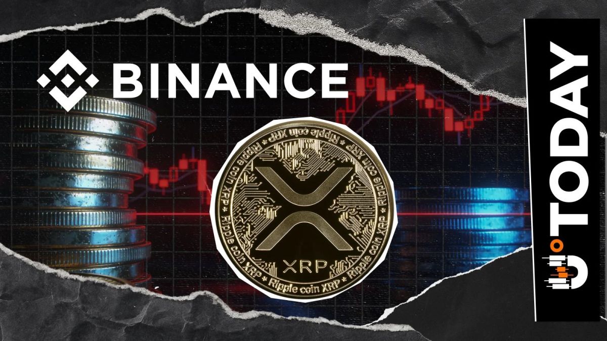 XRP Reserves on Track to Hit 2026 High: What's Happening?