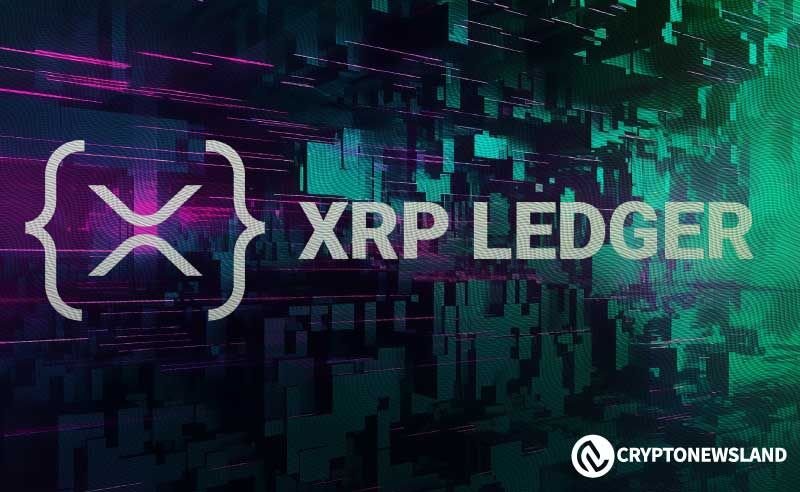 BanxNetwork Targets Media Growth Through XRP Ledger