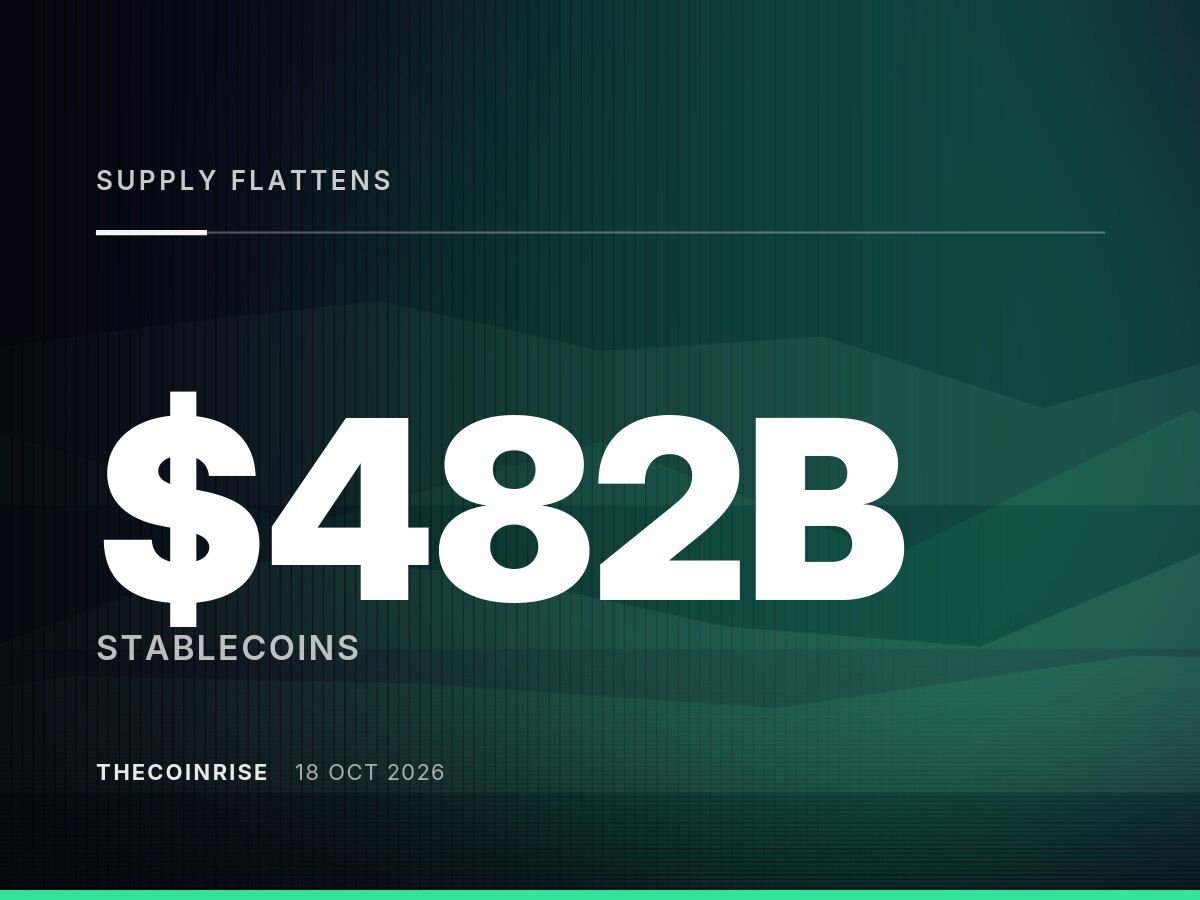 Stablecoin Supply Flattens While Payment Volume Jumps 45% to $482B