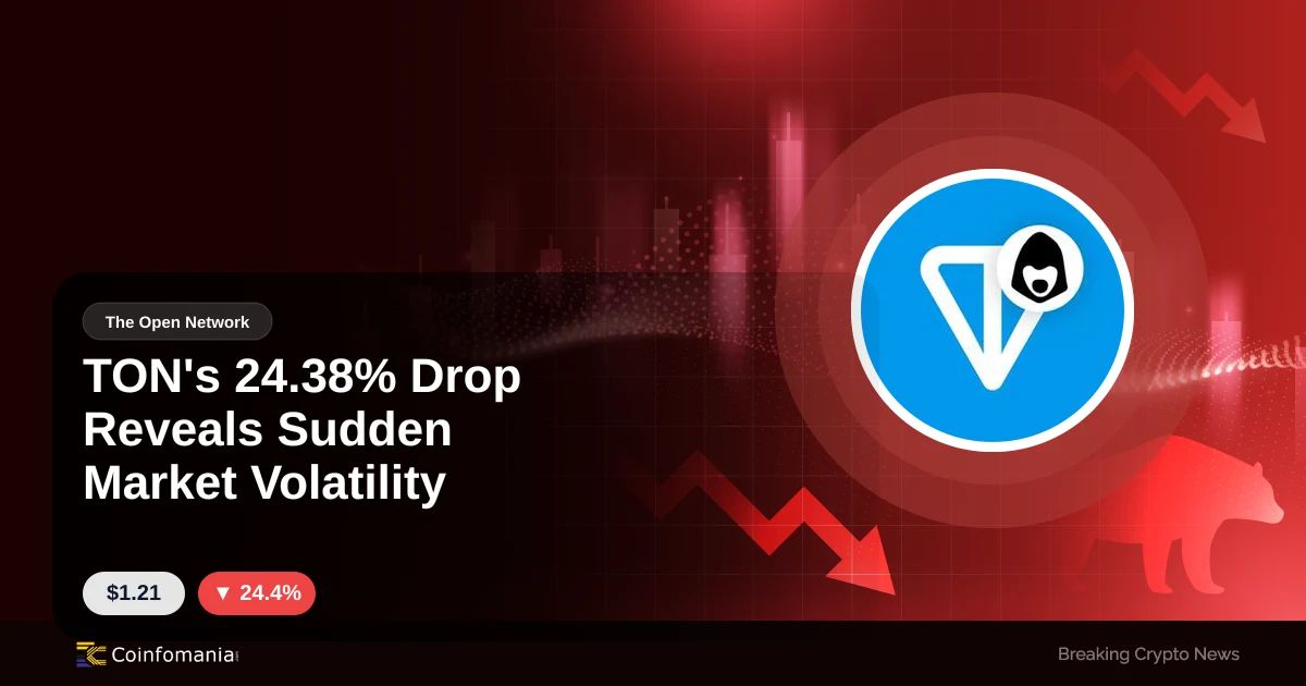 TON’s 24.38% Drop Reveals Sudden Market Volatility