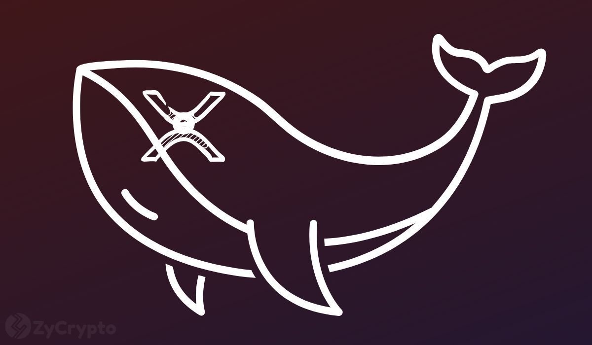 Bullish: XRP Whale Inflows to Binance Hit Seven-Month High, Details