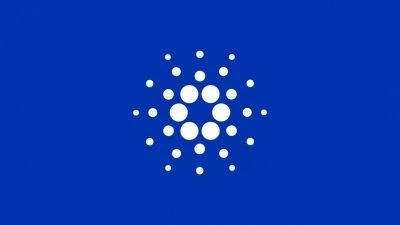 Cardano puts Georgian wine on-chain to fight counterfeit bottles