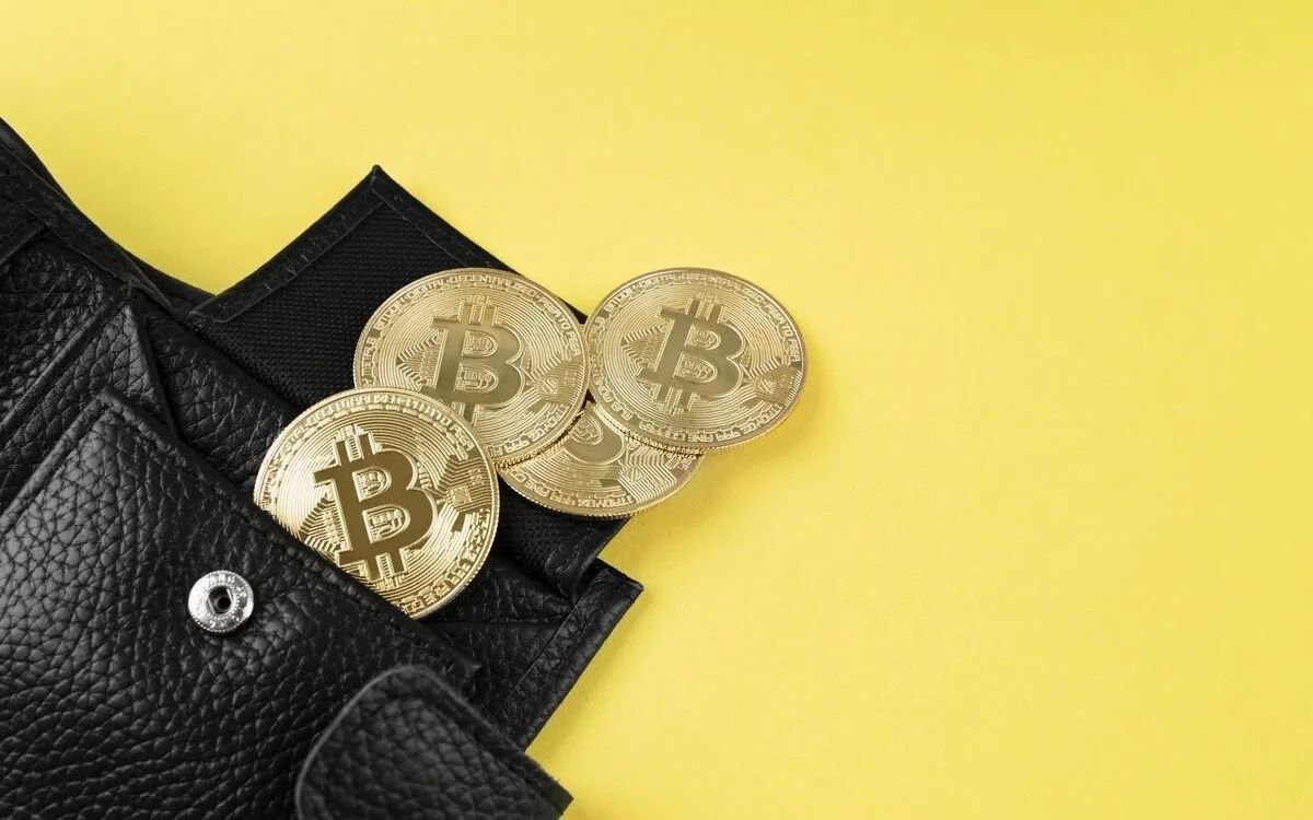 Best NFT Wallets (2026): Tested for Ethereum, Solana, and Bitcoin NFTs