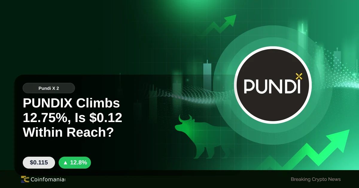 PUNDIX Climbs 12.75%, Is $0.12 Within Reach?