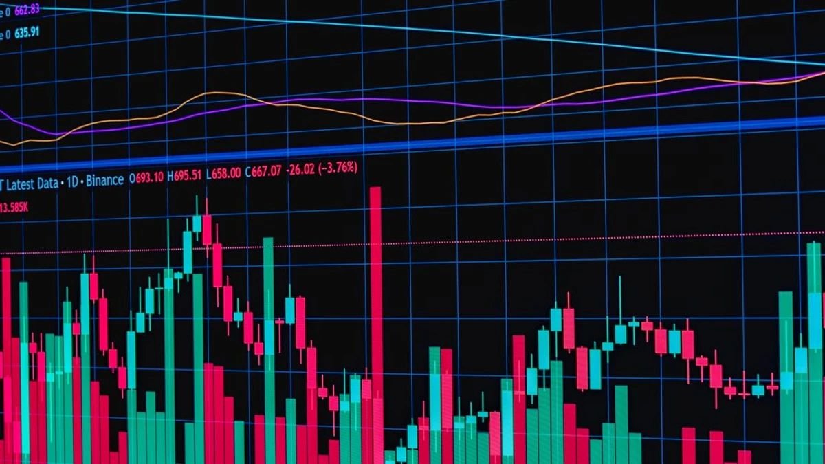 New Data Shows $364.5M in Tokenized Tesla and SpaceX Shares