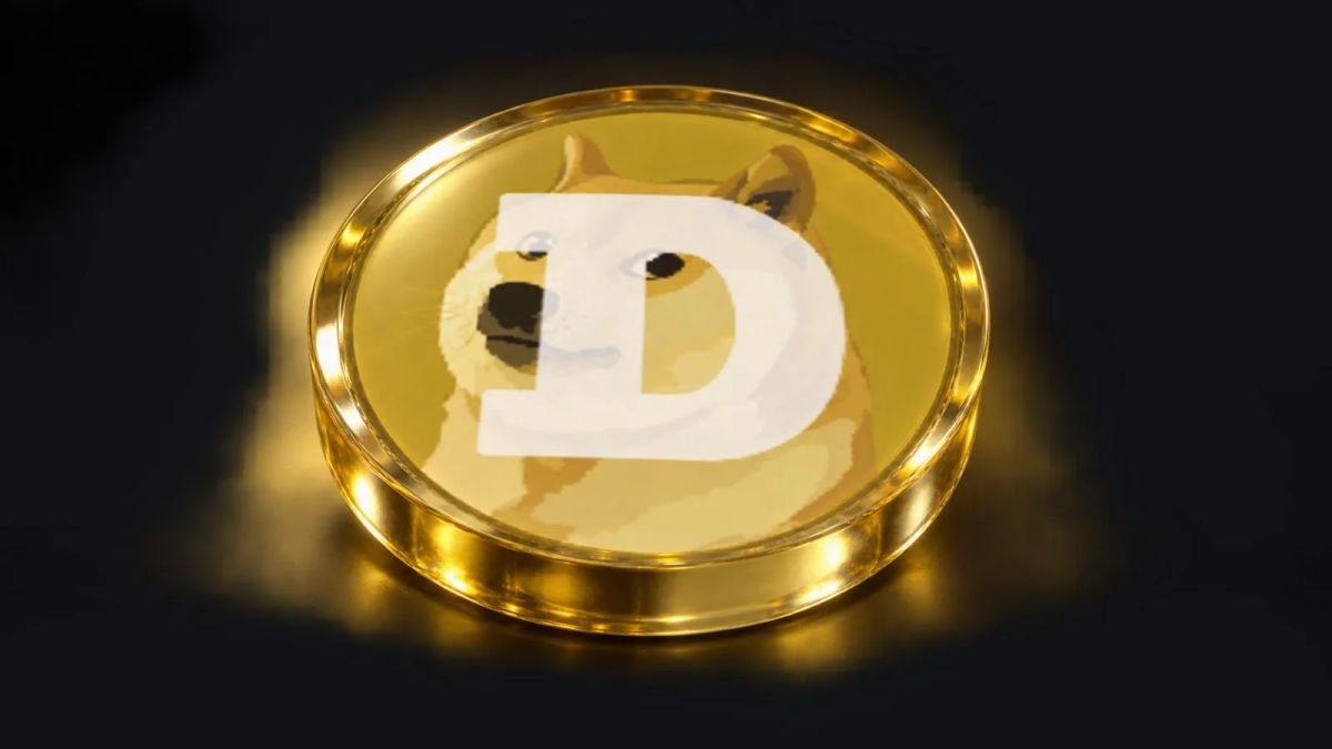 Thirteen Dogecoin Addresses Hold 46% of Listed Supply in Snapshot