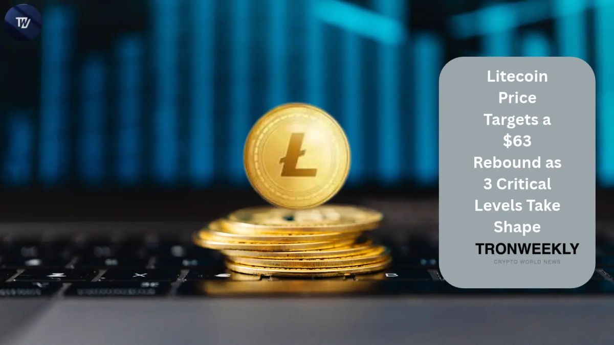 Litecoin Price Targets a $63 Rebound as 3 Critical Levels Take Shape