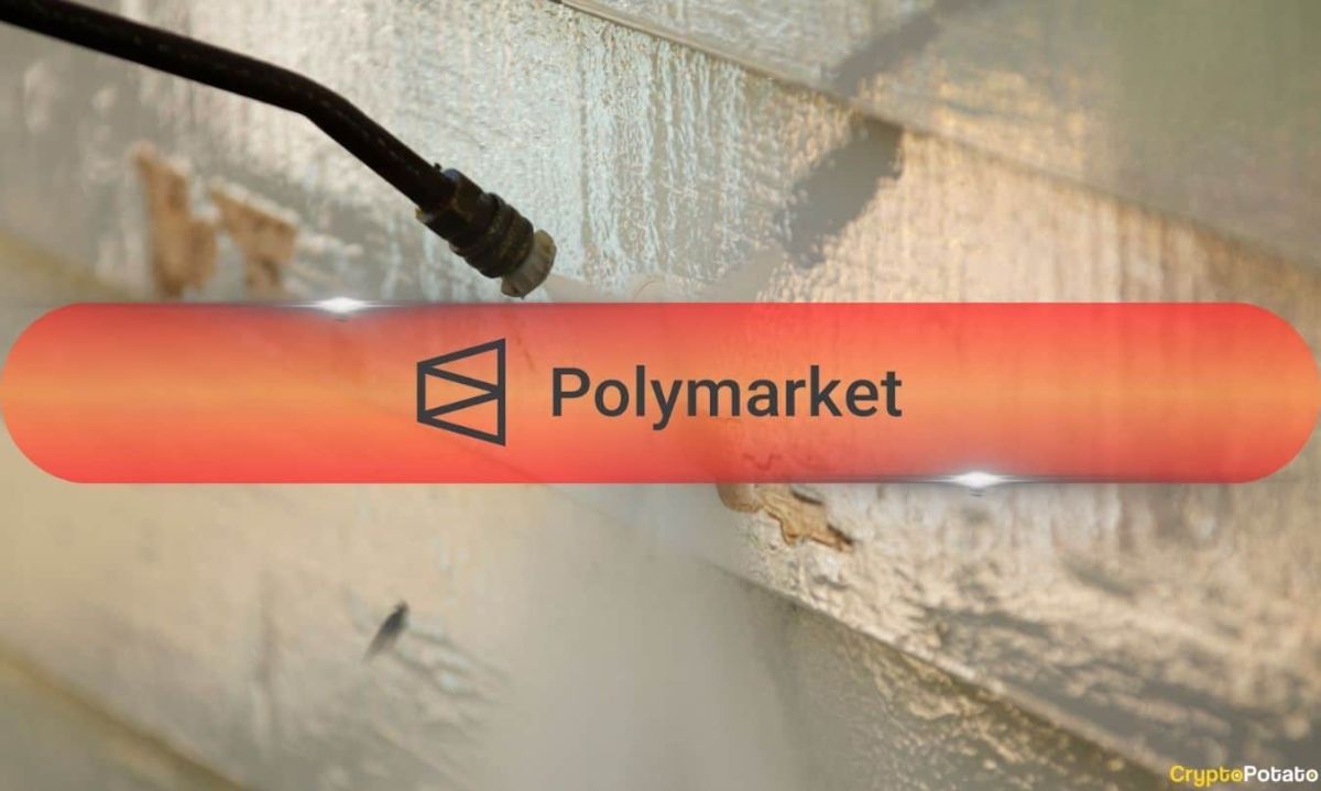 Polymarket Trading Disrupted After Users Report $2.6M in Losses
