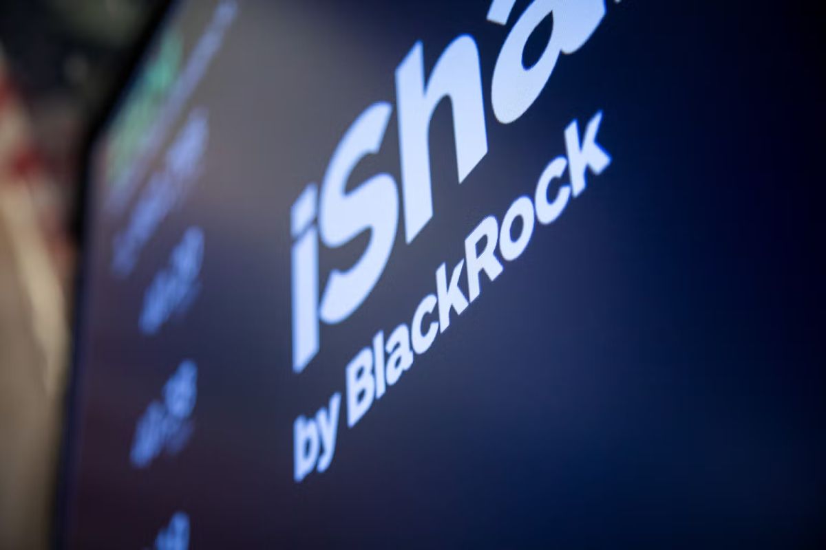 BlackRock's iconic fund posts strongest day in over 12 months