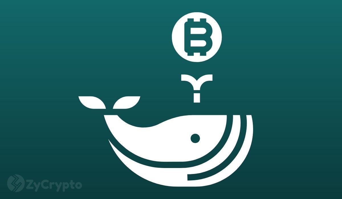 New whales now account for 1/3 of Bitcoin’s whale realized cap as on-chain indicators point BTC’s target at $89,000