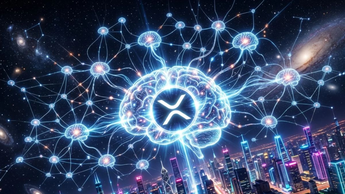 XRP can rise without utility, Black Swan Capitalist co-founder claims