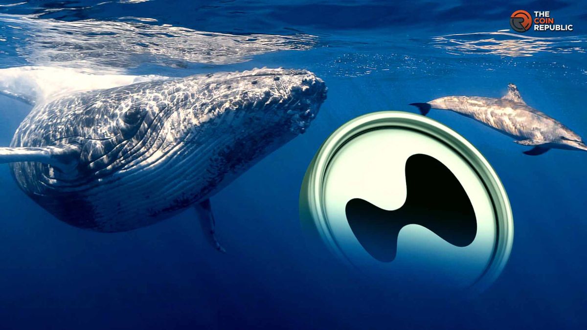 Hyperliquid Price Dips Amid Whale Dump Despite Major NYSE Deal