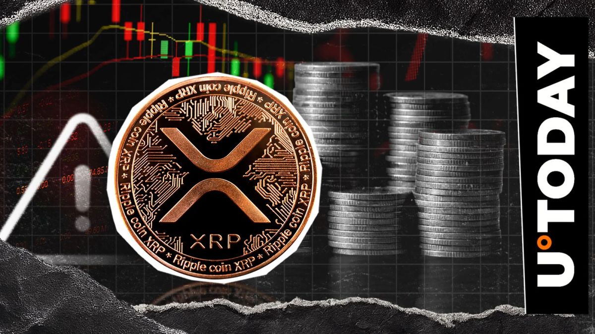 XRP Hit by 2008% Liquidation Imbalance as Market Selloff Intensifies